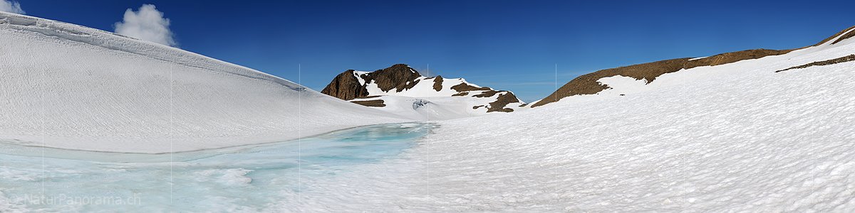 P005239: Panoramabild Hellblaues Wasser auf schneebedeckter Schwemmebene