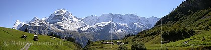 P000035: Panoramabild Mürren mit Eiger, Mönch und Jungfrau