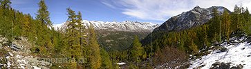 P000112: Panoramabild Herbstlicher Bergwald auf der Mässeralp im Binntal