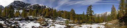 P000114: Panorama Herbstlicher Bergwald auf der Mässeralp