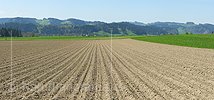 P000134: Panoramabild Bestellter Acker im Emmental
