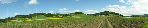 P000164: Panoramafoto Emmentaler Landschaft bei Lützelflüh