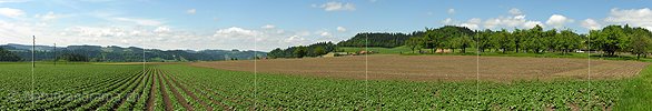 P000165: Panoramafoto Kulturland bei Lützelflüh