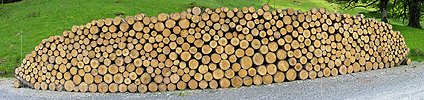 P000173: Panorama Holz: Aufgeschichtetes Rundholz