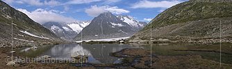P000210: Panorama Märjalesee (Märjelesee), Aletsch