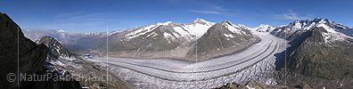 P000217: Panorama Grosser Aletschgletscher vom Eggishorn, Aletsch