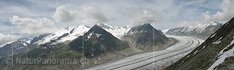 P000224: Panorama Aletschgletscher vom Bettmerhorn, Aletsch