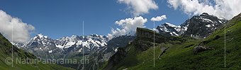 P000289: Panorama Jungfrau und Ebene Fluh von Poganggen/Mürren
