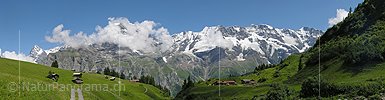 P000293: Panoramabild Berner Oberland bei Gimmela/Mürren