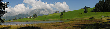 P000451: Panorama Schwendisee, Toggenburg