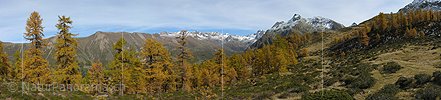 P000537: Panorama Herbst