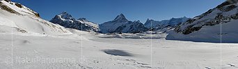 P000746: Panoramabild Bachalpsee, Grindelwald