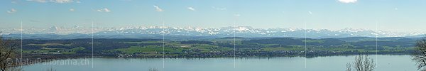 P000871: Panoramabild Murtensee und Alpenpanorama