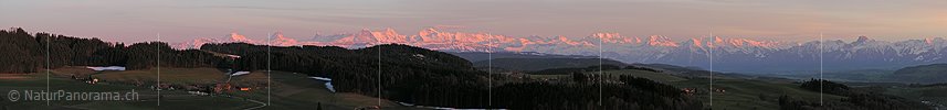 P000899: Panoramafoto Emmental / Berner Alpen