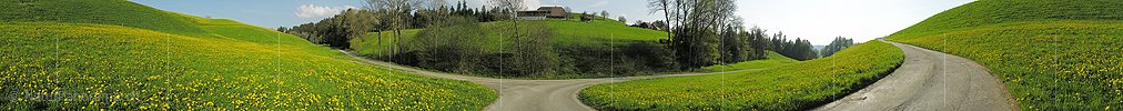 P000981: Panoramafoto Rüegsbach, Emmental