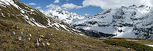 P000999: Panoramafoto Ofenhorn