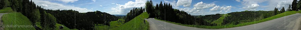 P001016: Panoramafoto Emmental