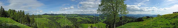 P001021: Panorama Emmental