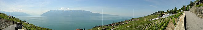 P001089a: Panoramafoto Rebberge am Genfersee