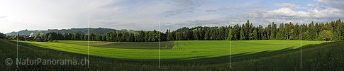 P001279: Panorama Rüderswil, Emmental