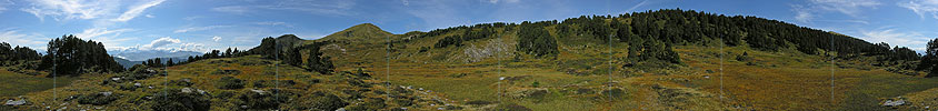 P001394: Panoramabild Moorlandschaft Fürstein