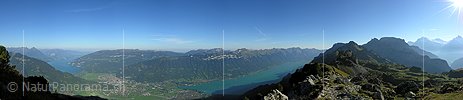 P001405: Panoramabild Schynige Platte, Jungfrauregion