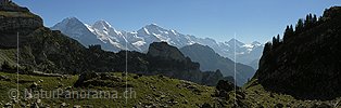 P001427: Panoramafoto Eiger, Mönch und Jungfrau