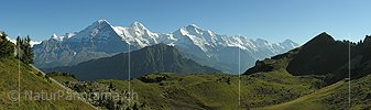 P001430: Panorama Eiger, Mönch und Jungfrau