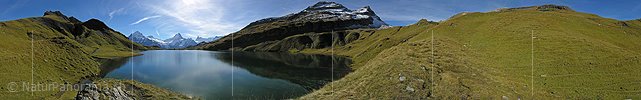 P001449: Panorama Bachalpsee, Jungfrauregion