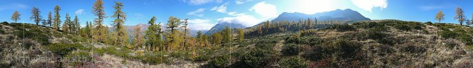 P001510: Panoramabild Herbstlich gefärbter Lärchenwald im Binntal