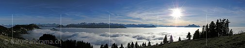 P001557: Panoramabild Nebelmeer von Rigi Staffelhöhe