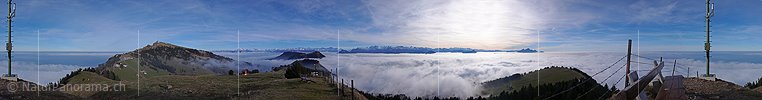 P001575: Panoramabild Rigi Rotstock