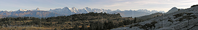P001594: Panoramabild Berner Alpen