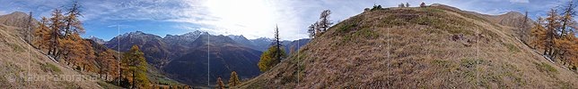 P001607: Panoramabild Herbstfarben im Binntal