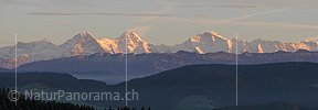 P001624: Panorama Abendstimmung über dem Emmental mit Eiger, Mönch und Jungfrau