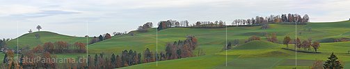 P001629: Panorama Hügellandschaft bei Eriswil im Emmental