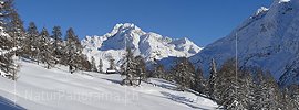 P001641: Panoramabild Winterlandschaft mit Ofenhorn