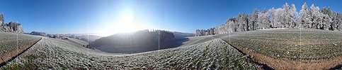 P001739: Panoramafoto Raureif