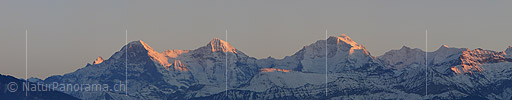 P001811: Panorama Abend über Eiger, Mönch und Jungfrau