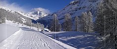 P001832: Panorama Winterlandschaft mit Ofenhorn