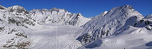 P001864: Panoramafoto Aletschgletscher und Bettmerhorn