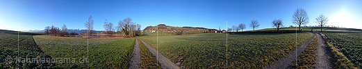 P001931: Panorama Gerzensee