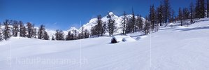 P001958: Panoramabild Alphütte im Winter