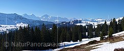 P002063: Panoramabild Bergwald vor Eiger, Mönch und Jungfrau