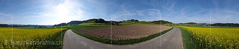 P002132: Panorama Rapsfeld und Acker