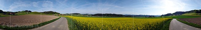 P002133: Panoramabild Rapsfeld