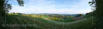 P002135: Panoramabild Heuwiese