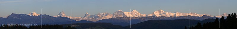 P002190: Panoramabild Alpenkette im Abendlicht