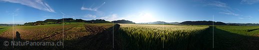 P002201: Panoramabild Kulturland