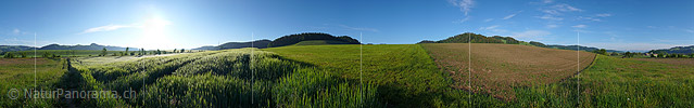 P002203: Panoramafoto Kulturland